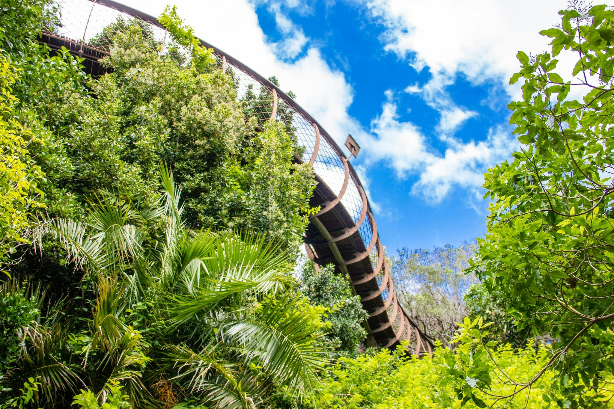 Constantia: Full-Day Wine Tour + Roundtrip Transfer - Photo 1 of 6